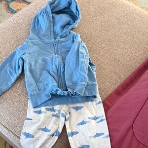 Blue Hoodie and Gray Shark Print Pants Set